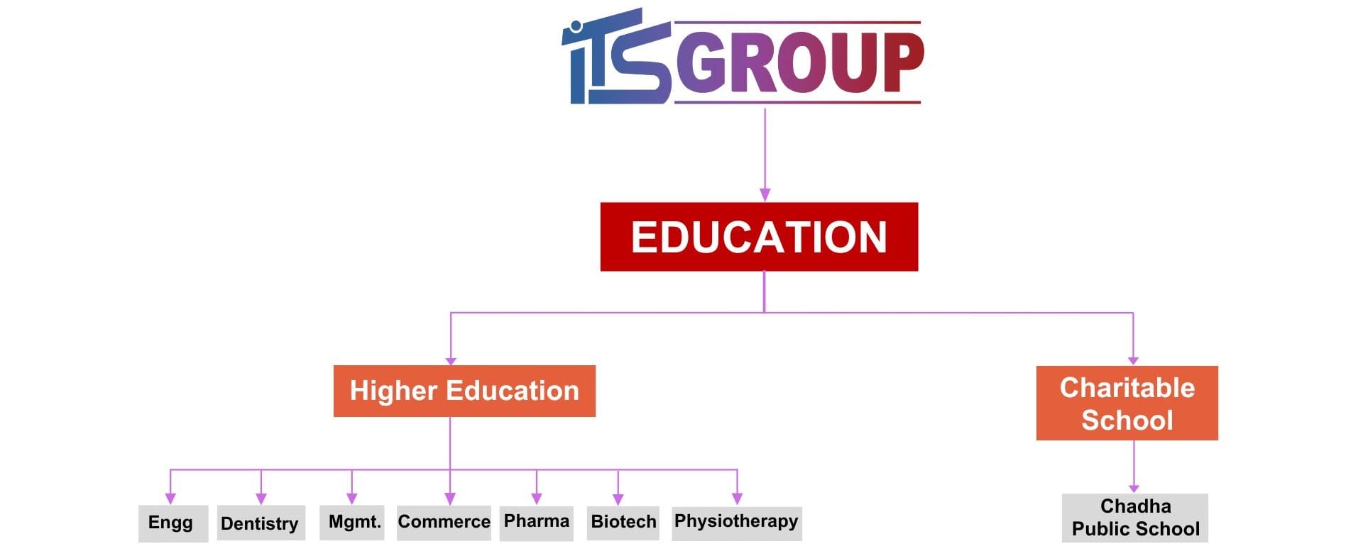 Education – ITS Group – ITS Group
