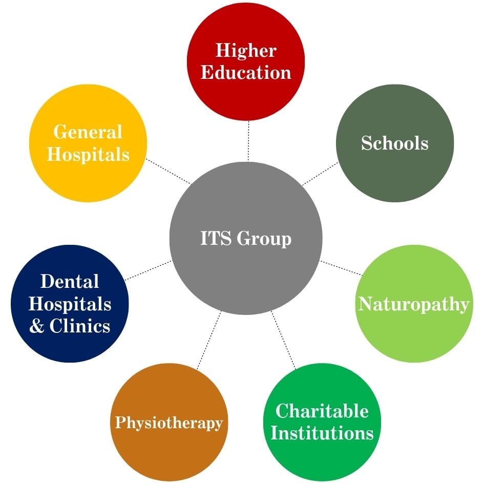 ITS Group Entity Distribution